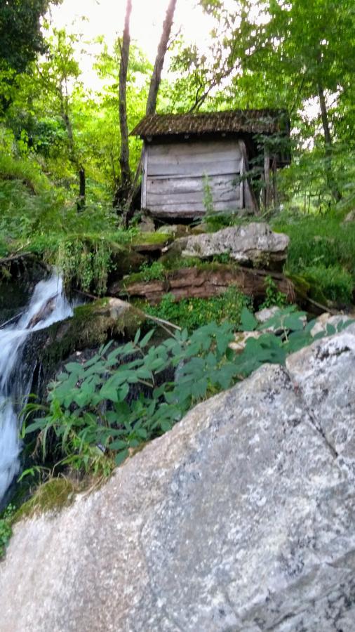 Discover Kinchkha Satsiskvilo Εξωτερικό φωτογραφία